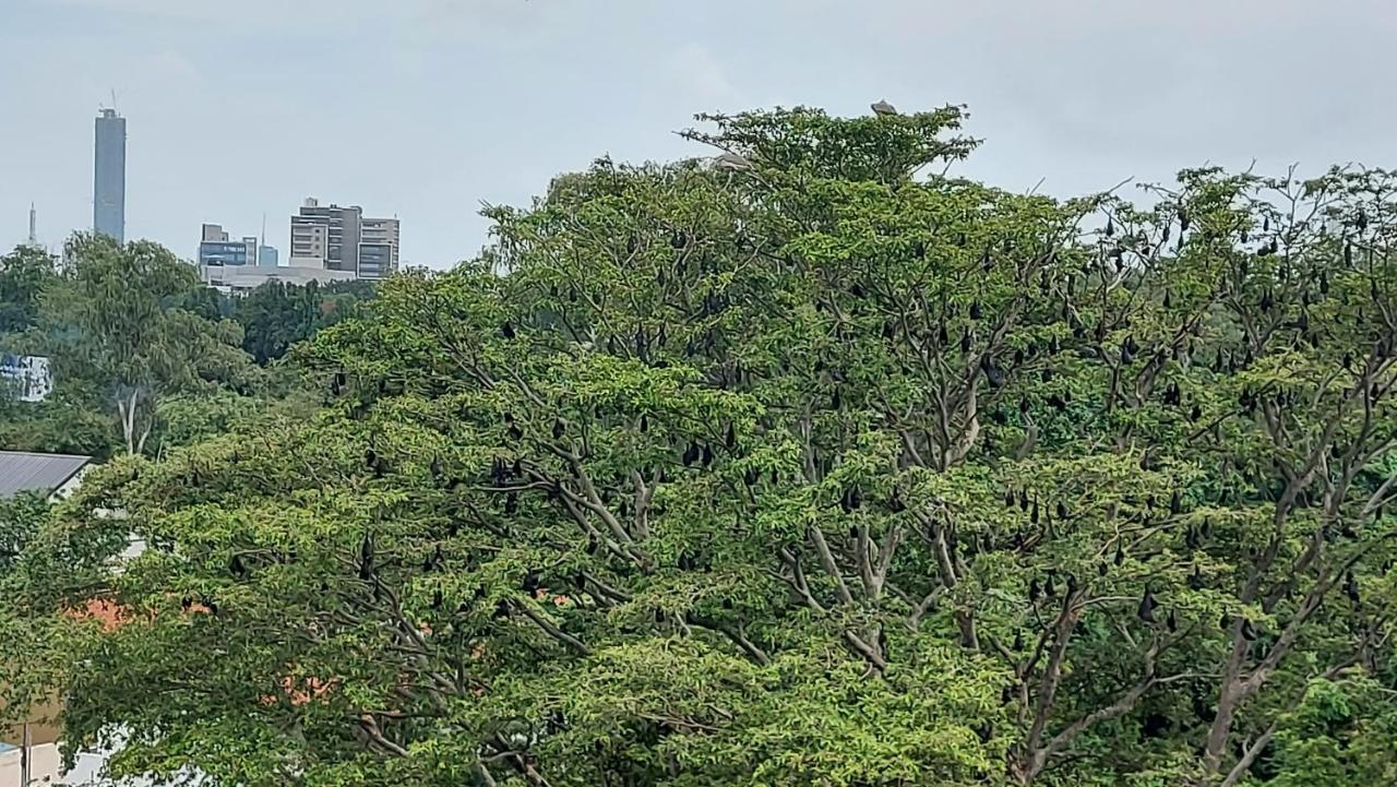 Jays Guest 6B, Rajagiriya Colombo Sri Lanka Hotell Exteriör bild